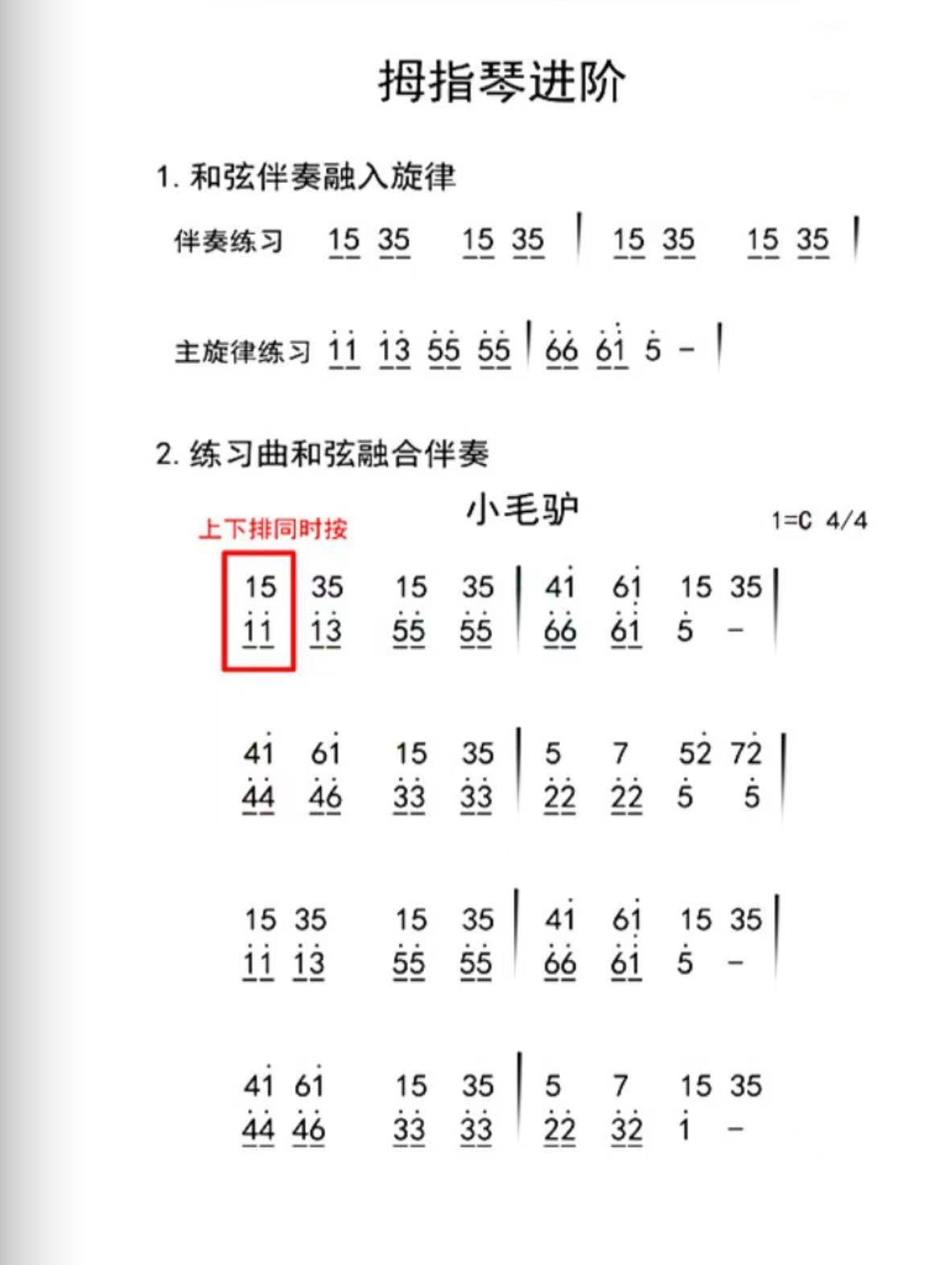 小毛驴